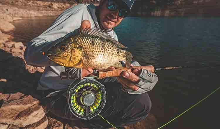 Преимущества комплекта для микрокастинга: почему это стоит вложений 1 катушка для мух 2