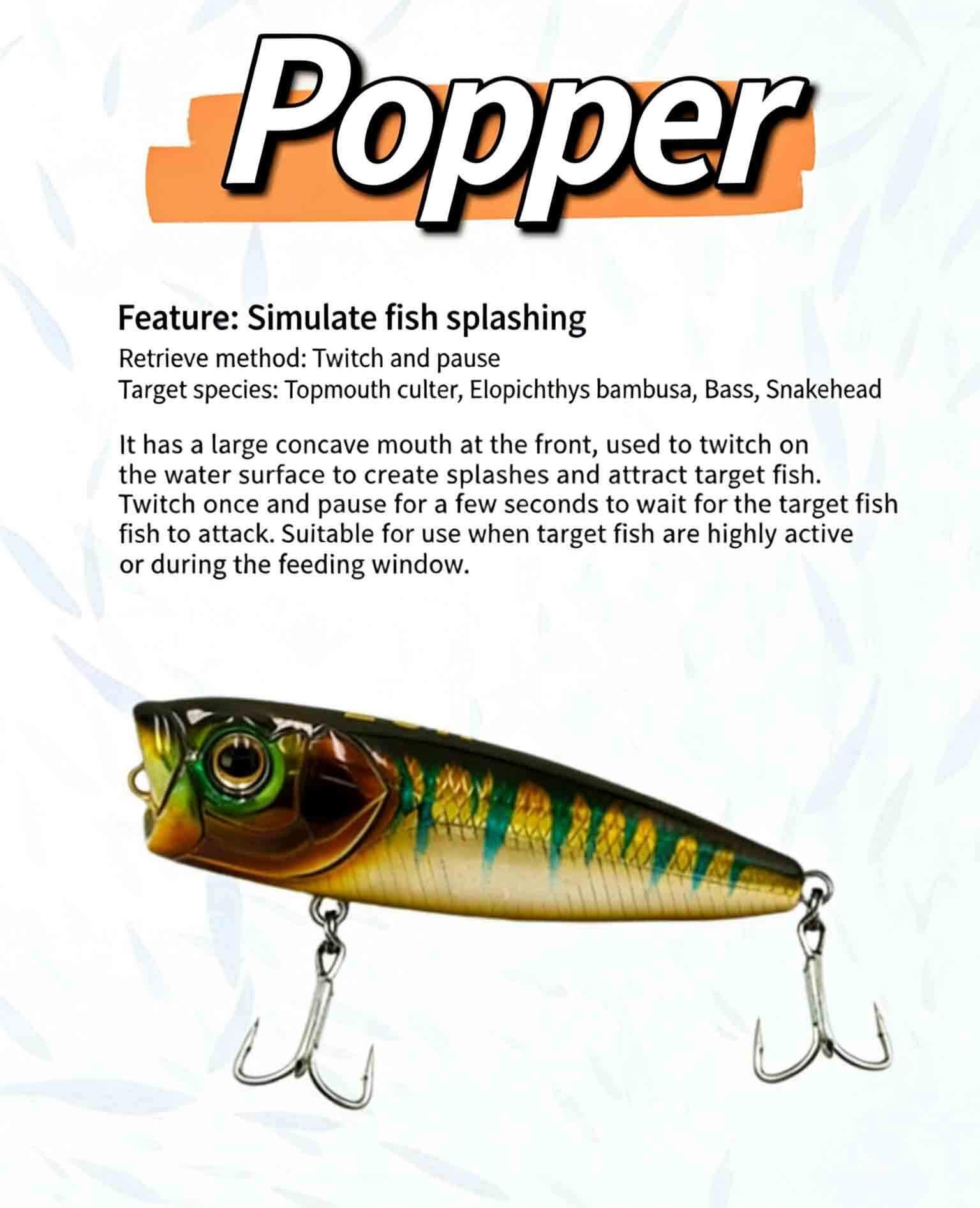Popper Lure Tips from Saltwater Anglers Worldwide 1 popper lure