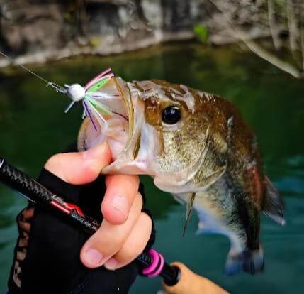 Bass Swim Jig Sourcing 2026: Find the Best Bulk Supplier 3 swim jig heads bulk