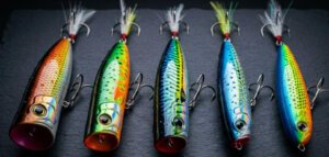 isca de pesca de robalo à superfície