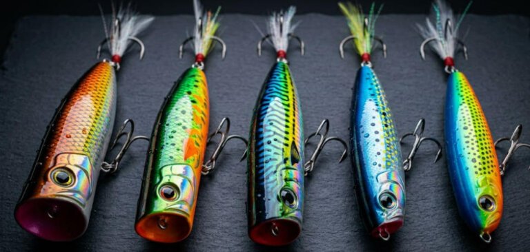 esche per la pesca al persico